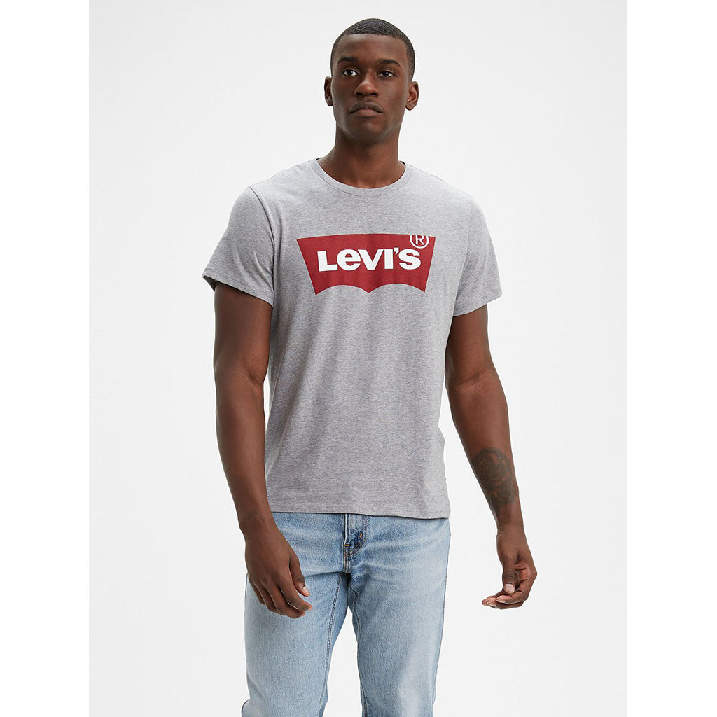 Levis Graphic Set-in Tee