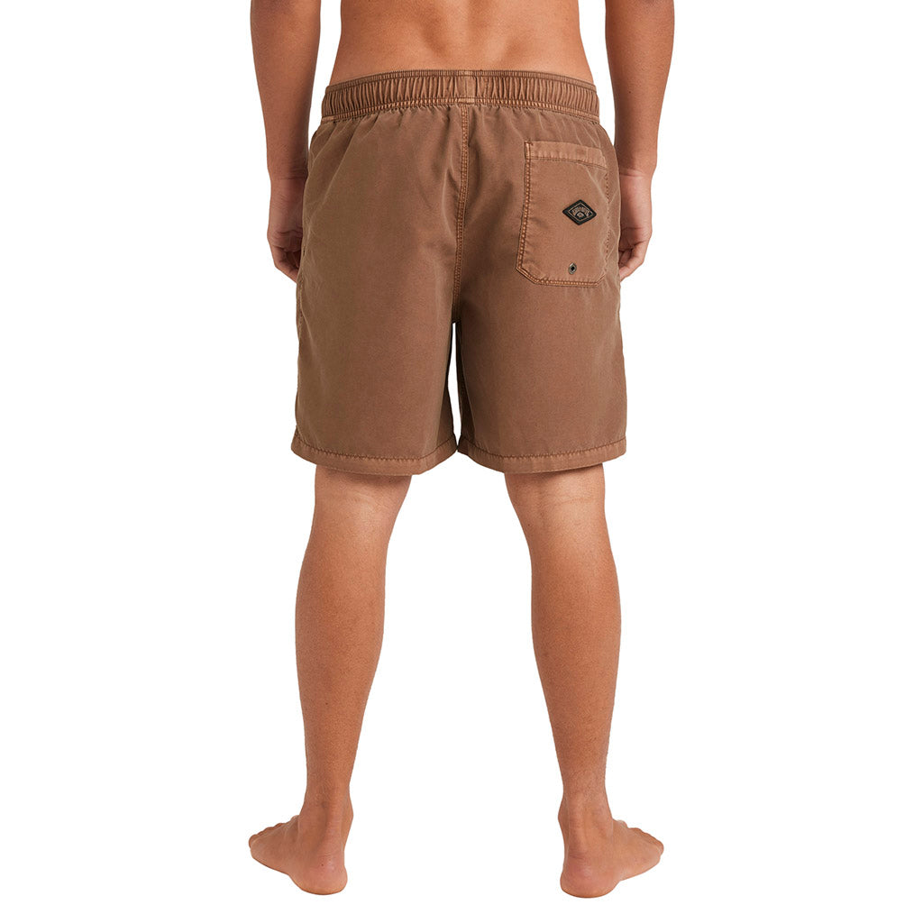 All Day Overdye 17" Boardshorts