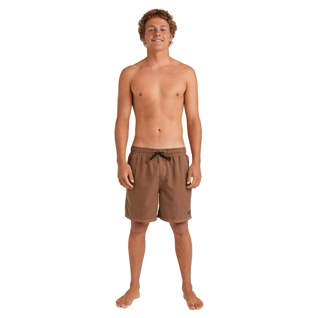 All Day Overdye 17" Boardshorts