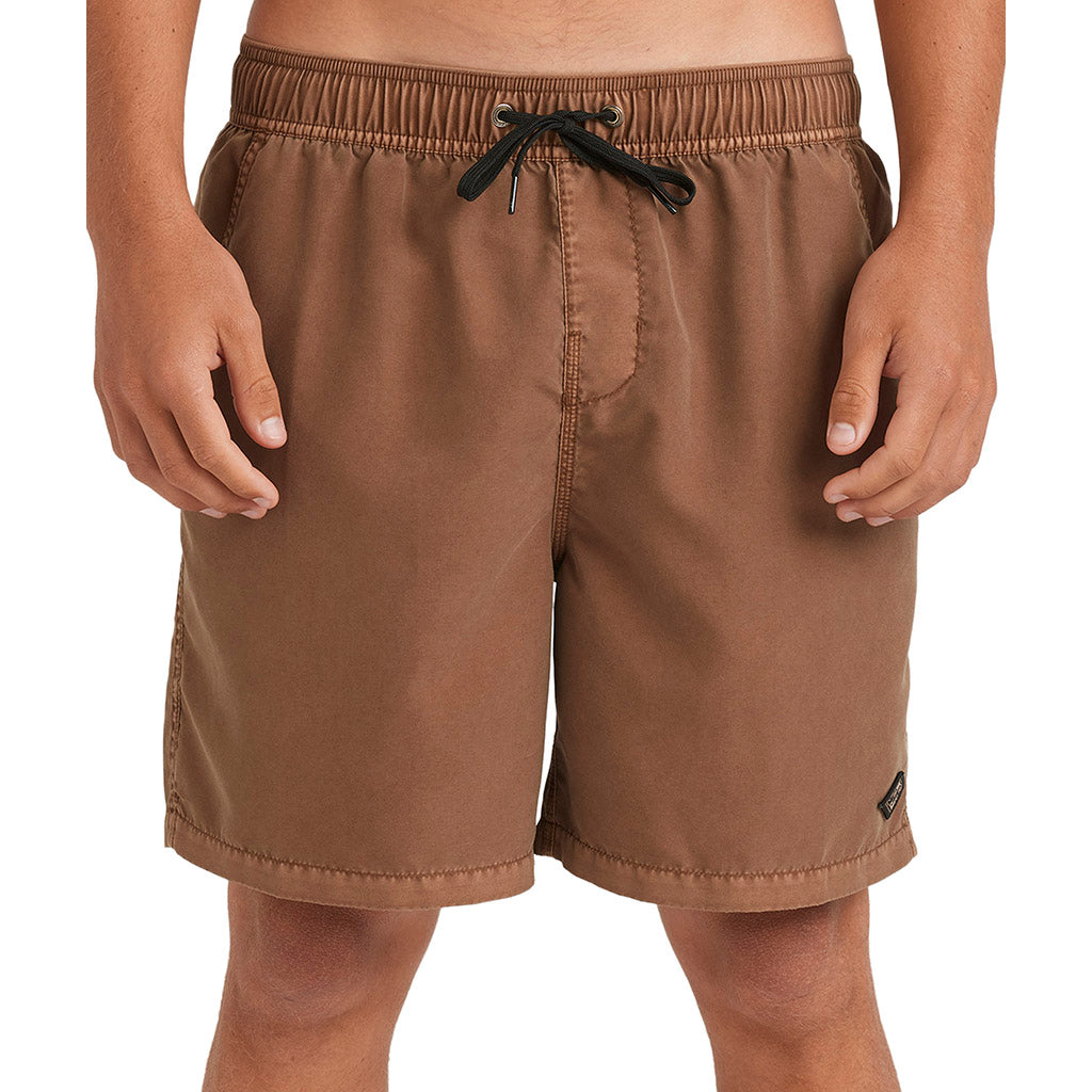 All Day Overdye 17" Boardshorts