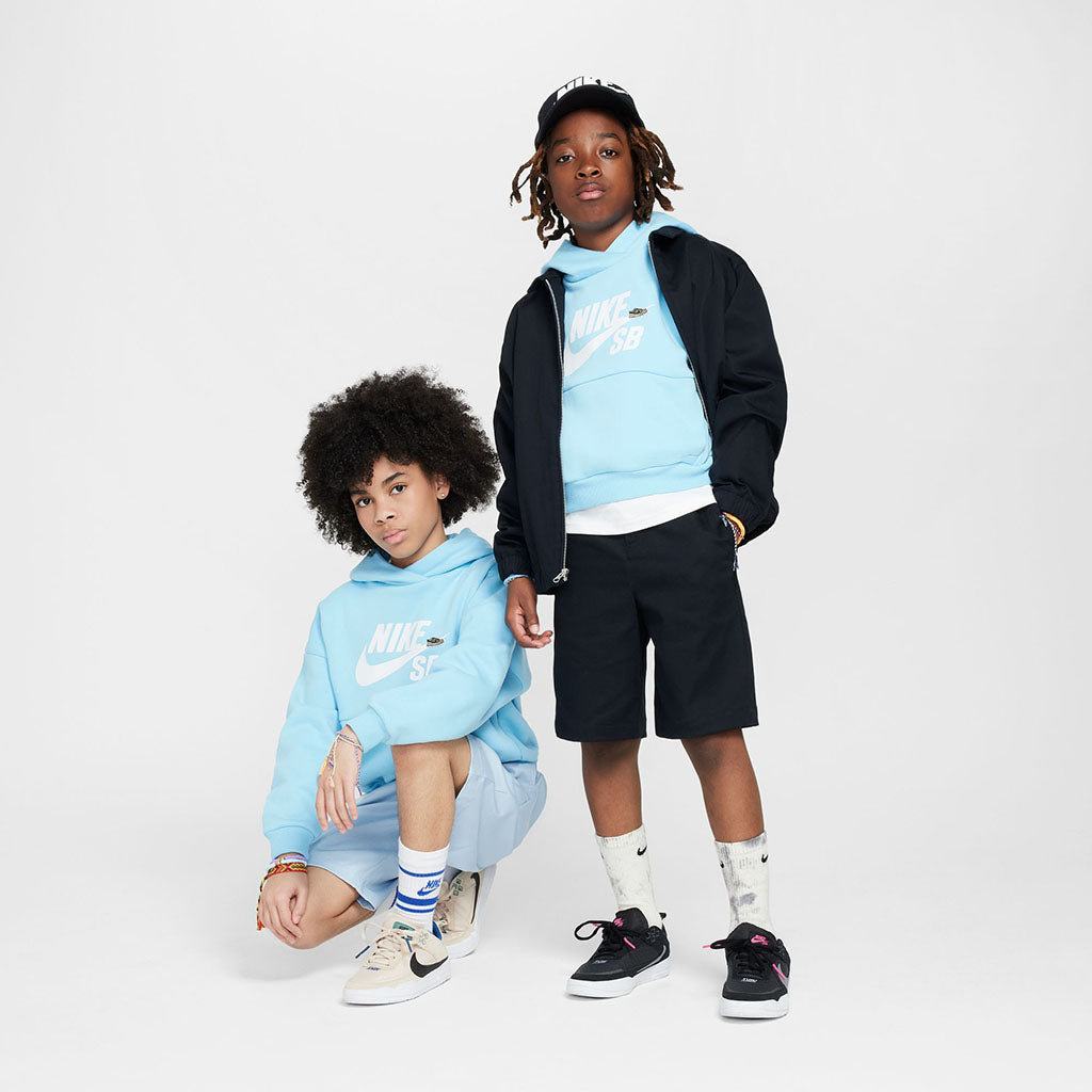 Kids Nike SB Icon Fleece Easyon Hoodie