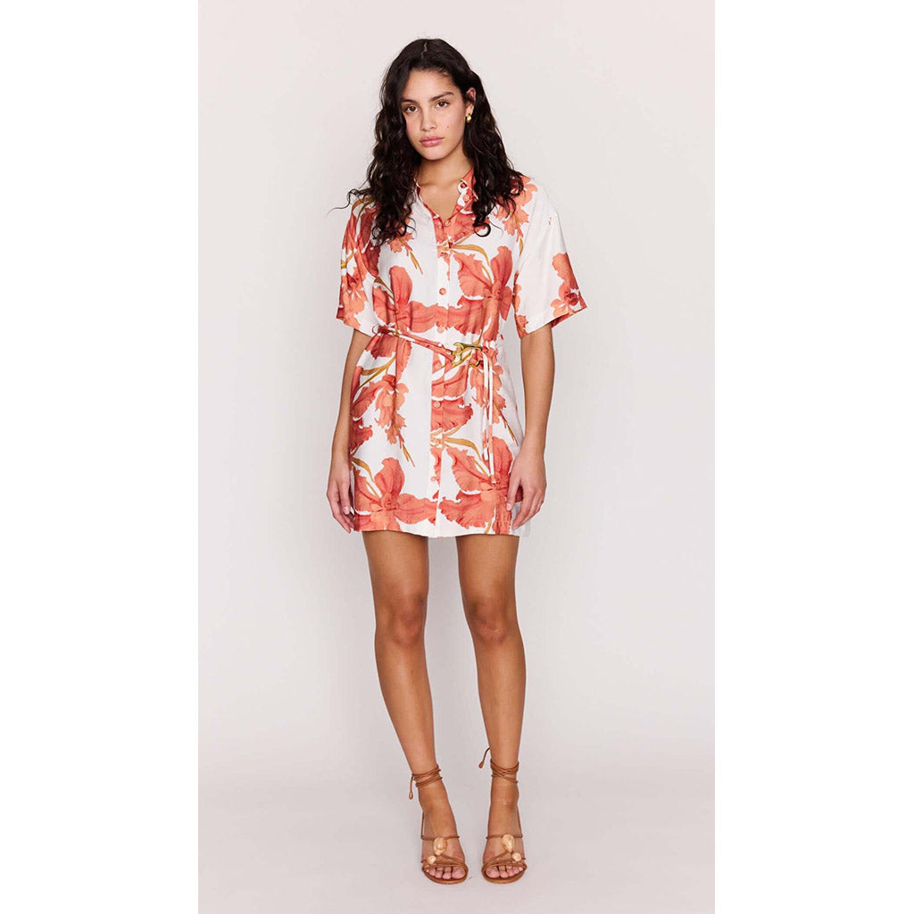 Isla Mini Shirtdress