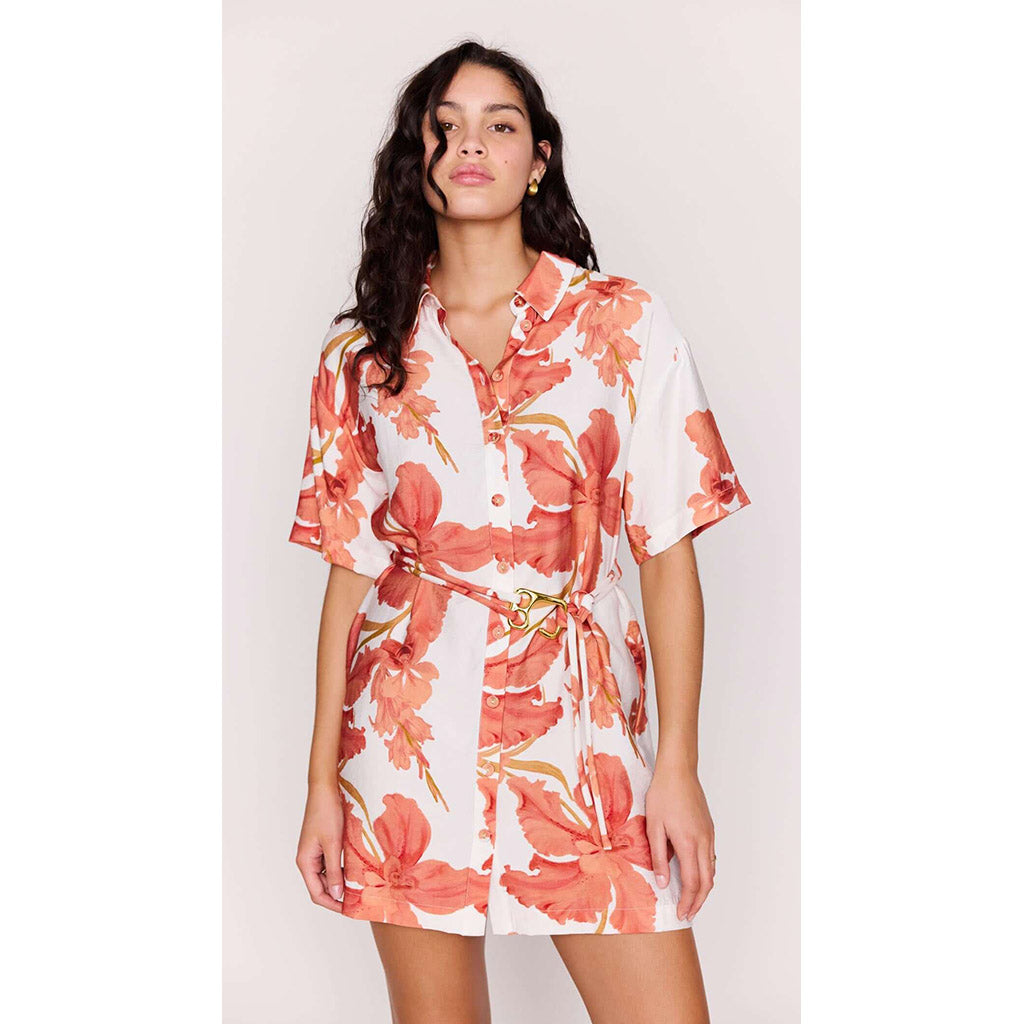 Isla Mini Shirtdress