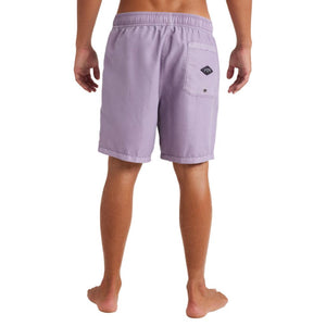 All Day Overdye Layback Boardshorts