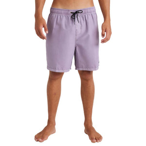 All Day Overdye Layback Boardshorts