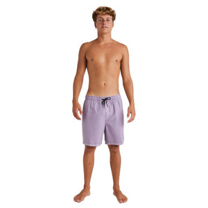 All Day Overdye Layback Boardshorts