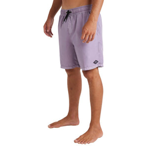 All Day Overdye Layback Boardshorts