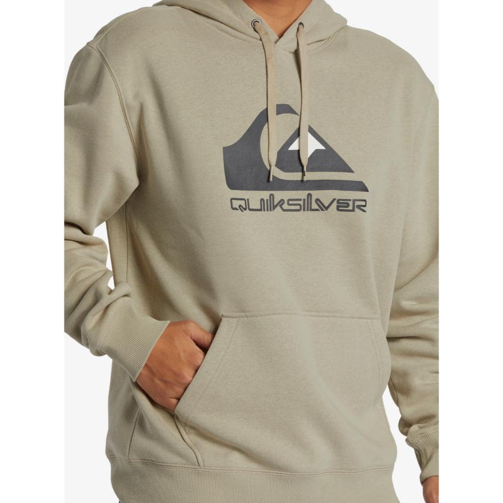 Big Logo Pullover Hoodie
