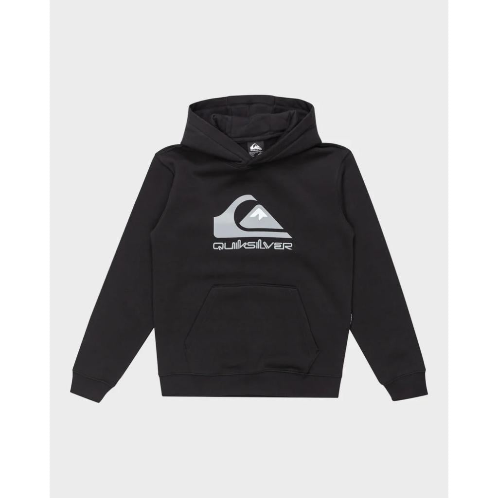 Big Logo Hoodie