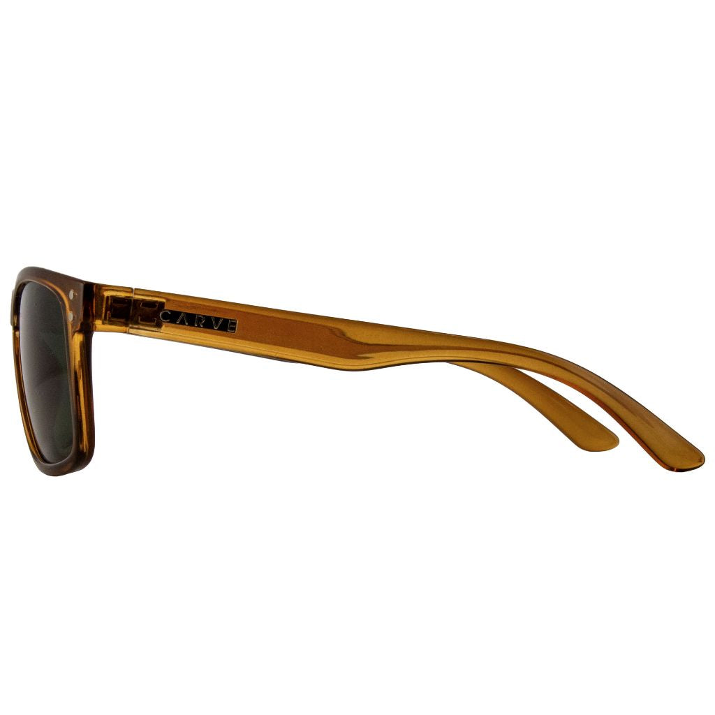 Goblin Recycled Polarized