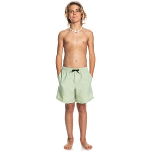 Boys Surf Wash Swim Shorts