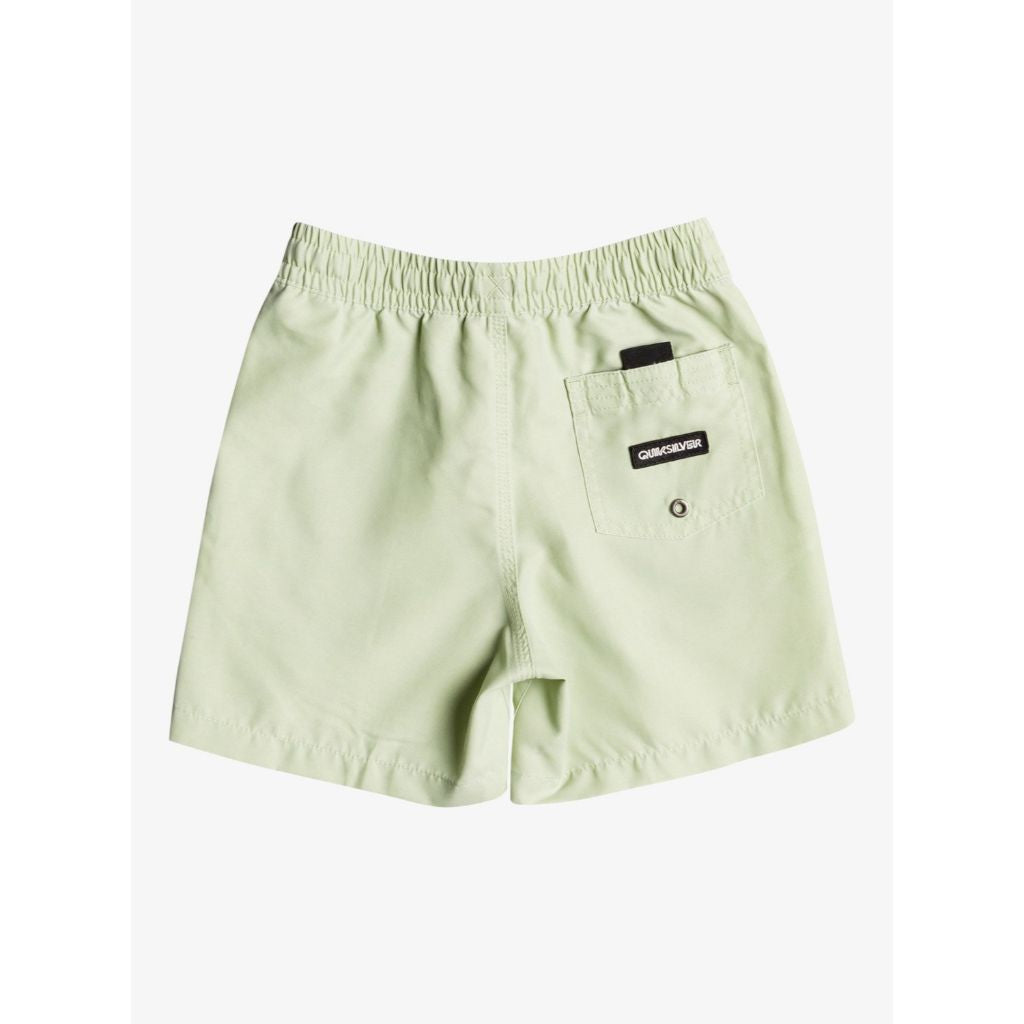 Surfwash Volley Boardshort